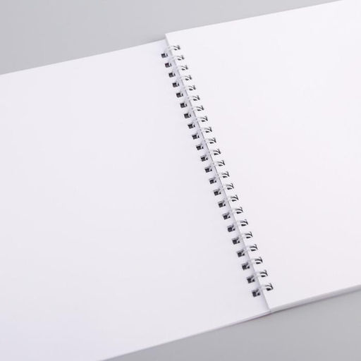 Цена за 2 шт. Альбом для рисования А4, 40 листов 100 г/м², на пружине, «Минни Маус»