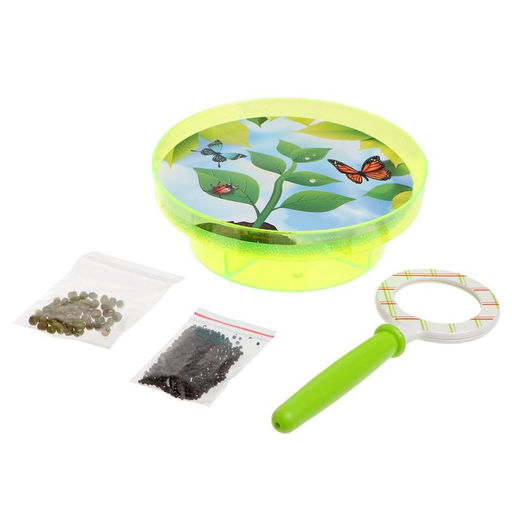 Набор для опытов Выращиваем растение: лупа, семена, тарелка, губка - Эврики фото 5