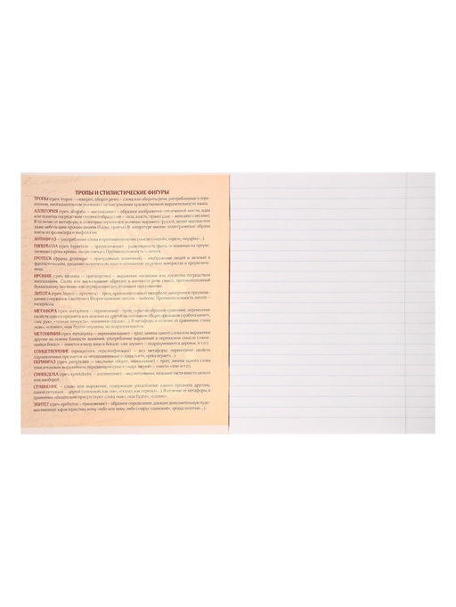 Тетрадь предметная Комикс Аниме 48 листов в линейку Литература, со справочным материалом, обложка мелованный картон, УФ-лак (полный), блок офсет - Calligrata фото 8