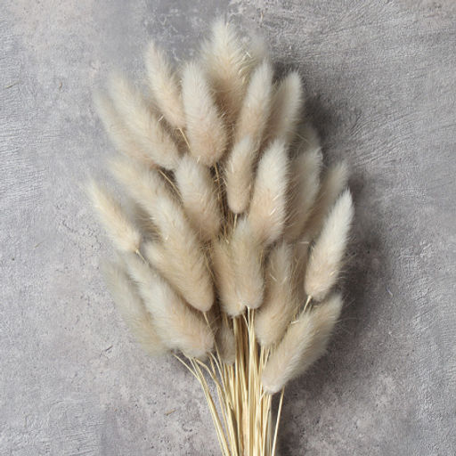 Сухоцвет 60 штук набор 68 см Лагурус / SG-010 /уп 300/бежевый - Галеонтрейд фото 3