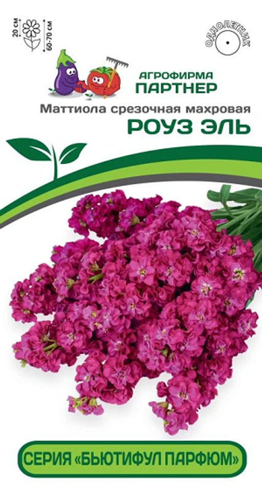 3325P Маттиола срезочная махровая "Бьютифул Парфюм" РОУЗ ЭЛЬ 10шт