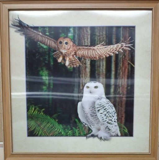 Картина 5D 40х40 263 Совы / KS1912-1 / - Галеонтрейд фото 2