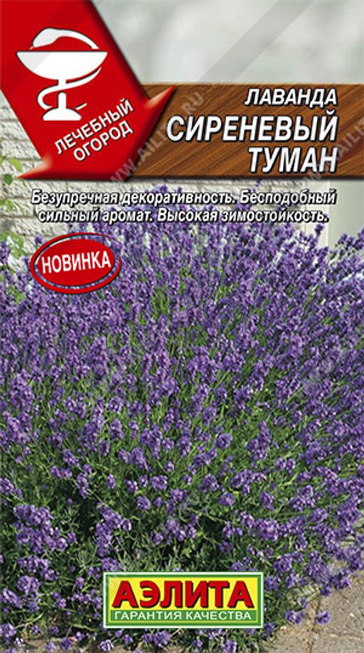 Лаванда Сиреневый туман (2026)