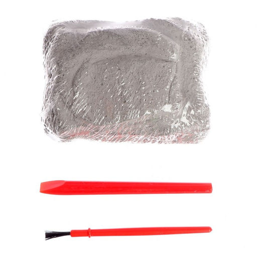 Раскопки «Сокровища древней Греции»