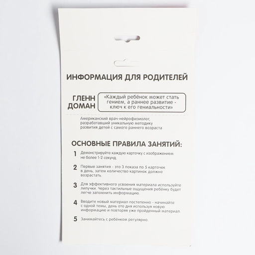 Развивающая игра на липучках «Изучаем мир домашних животных», методика Домана, с обучающими карточками по методике Глена Домана
