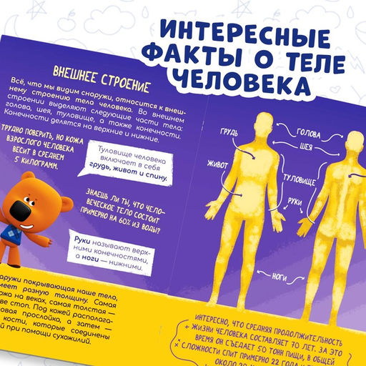 Мини-энциклопедия Тело человека, 20 стр., 12 17 см, Ми-Ми-Мишки  фото 3
