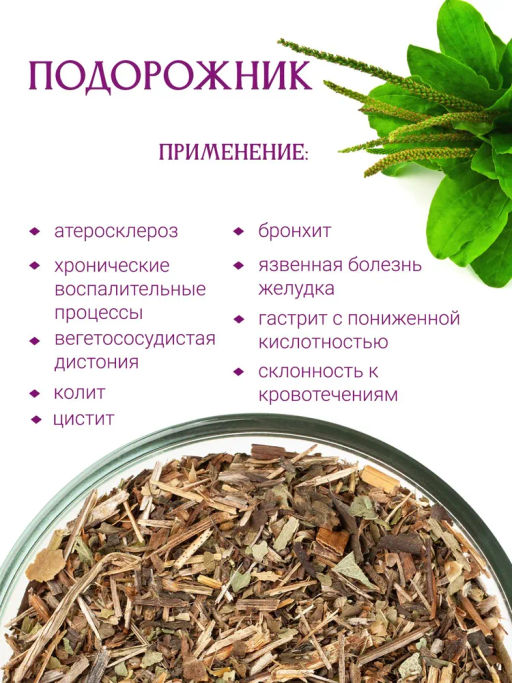 Подорожник - Травы горного крыма фото 2