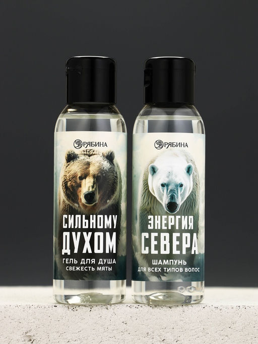 Подарочный набор новогодний «Сильному духом»: гель для душа и шампунь для волос, 2×100 мл, Чистое счастье