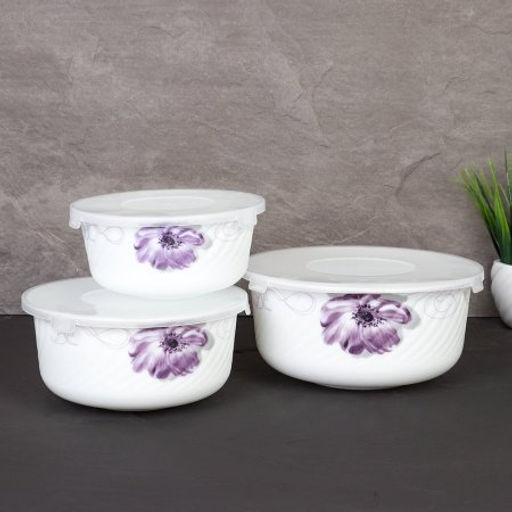 Салатник с крышкой 3 предмета / O3020/3-61008/S /уп 12/ АКЦИЯ - Галеонтрейд фото 4