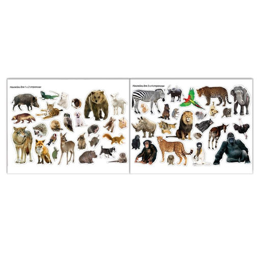 100 наклеек Животные со всего света, 12 стр. - Буква-ленд фото 4