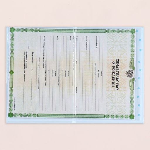 Папка под свидетельство о рождении Утёнок голубой бант, А5 - Дарим Красиво фото 5