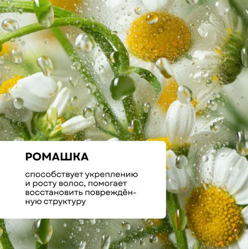 Твёрдый шампунь ромашковый - Ecomake фото 2