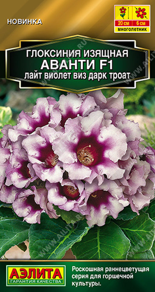 2007A Глоксиния Аванти F1 лайт виолет виз дарк троат 5шт