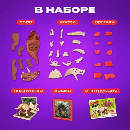 Набор для опытов Диномир: Трицератопс, строение тела динозавра, 33 детали - Эврики фото 3