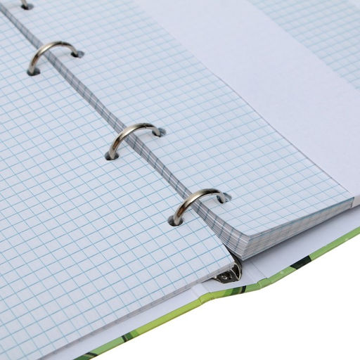 Тетрадь на кольцах A5, 120 листов в клетку, Calligrata «Авокадо»