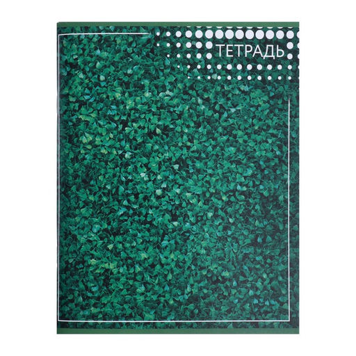 Цена за 10 шт. Тетрадь 96 листов в линейку Текстура, МИКС - Calligrata фото 3