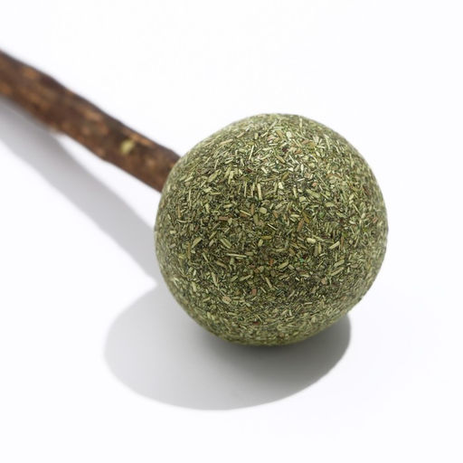 Игрушка для кошек из кошачьей мяты Леденец на палочке из мататаби, 13 см - Пижон фото 3