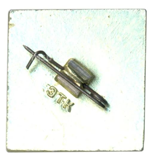 Значок М. Сарьян