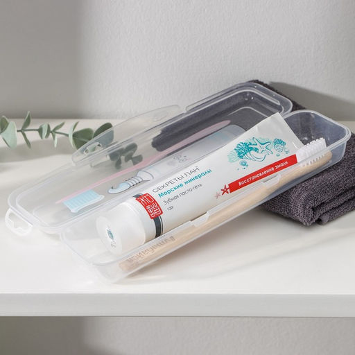 Цена за 2 шт. Футляр для зубной щётки и пасты «Друзья», 24×7 см, прозрачный