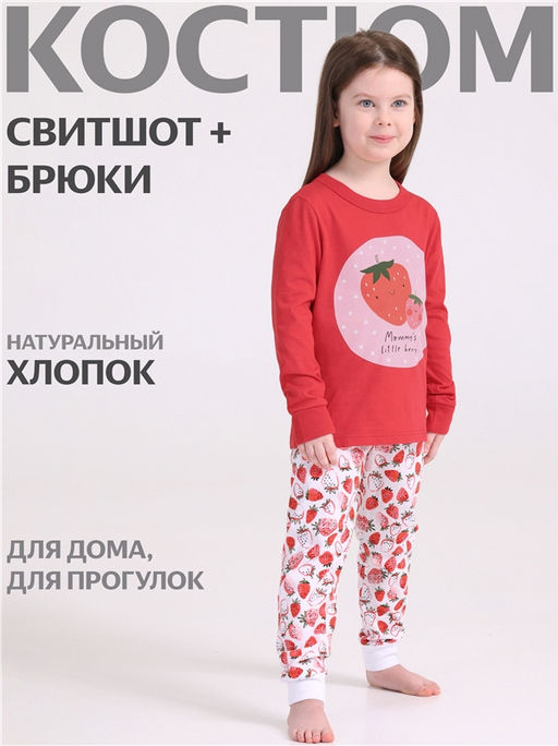 Свитшот+брюки 2ДЖСБ5720001н