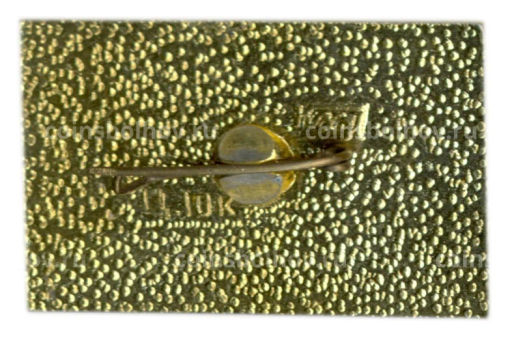 Значок Домик Каширина