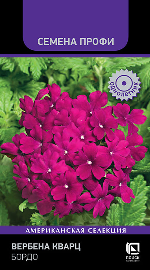 Вербена Кварц Бордо (Семена Профи) (ЦВ) (1) 10шт - Поиск фото 2