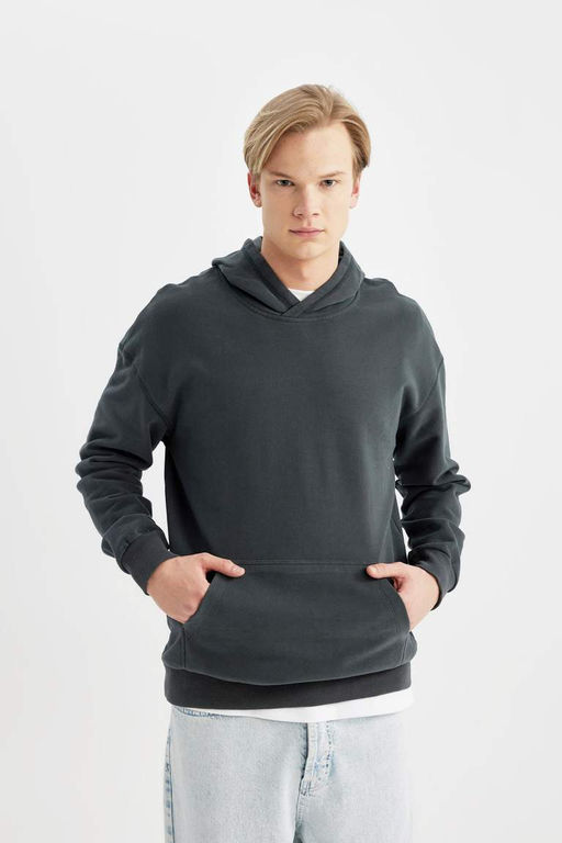 Базовая толстовка Comfort Fit с капюшоном - Defacto фото 4