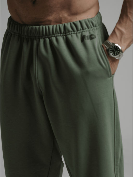 Леон брюки мужские (оливковый)