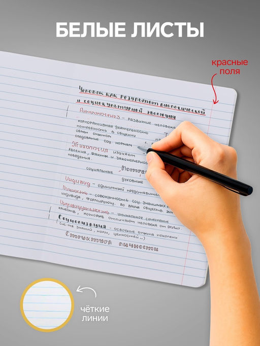 Тетради 10 штук, 24 листа в линию Calligrata «Школьная», обложка мелованный картон, ВД-лак, блок офсет, 5 видов по 2 штуки