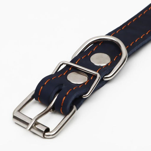 Ошейник кожаный однослойный, безразмерный, 56 х 2.5 см, ОШ 17-44 см, синий - Пижон фото 4