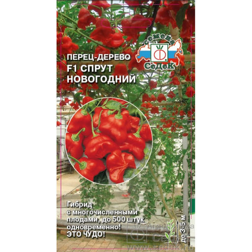 Перец острый Спрут Новогодний F1 0,05г (СеДеК)