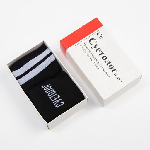 Носки мужские KAFTAN «Суетолог», набор 2 пары, размер 41-44(27-29 см)