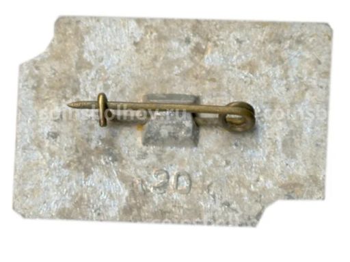 Значок Калуга