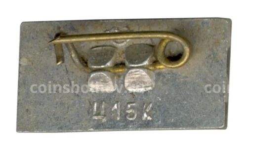 Значок Саласпилс