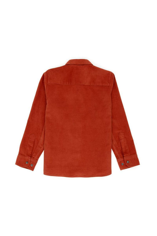 Рубашка U.S. Polo Assn Brick с длинным рукавом для мальчика из хлопка  фото 2