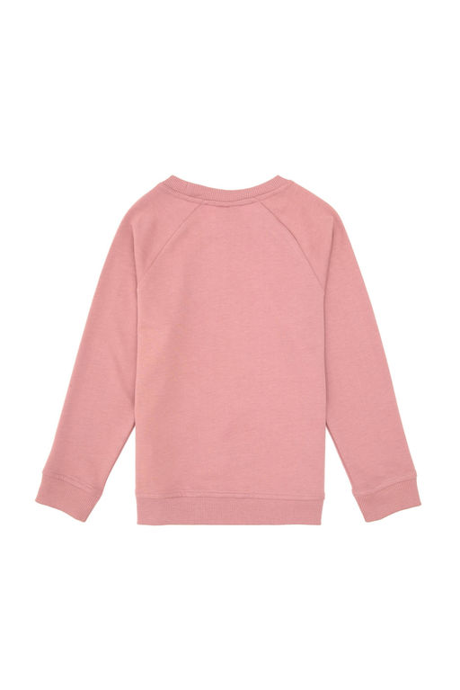 Erkek _ocuk Orkide Basic Sweatshirt Sepette S_rpriz _ndirim