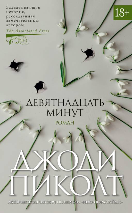 Девятнадцать минут. Пиколт Дж.