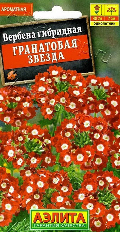 1311A Вербена Гранатовая звезда 0,1гр