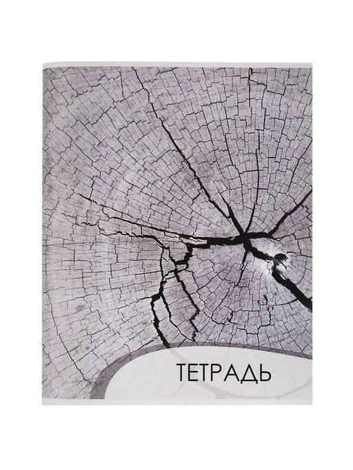 Тетрадь 96 листов в клетку Calligrata Текстура 2, обложка мелованный картон, блок офсет, МИКС  фото 7
