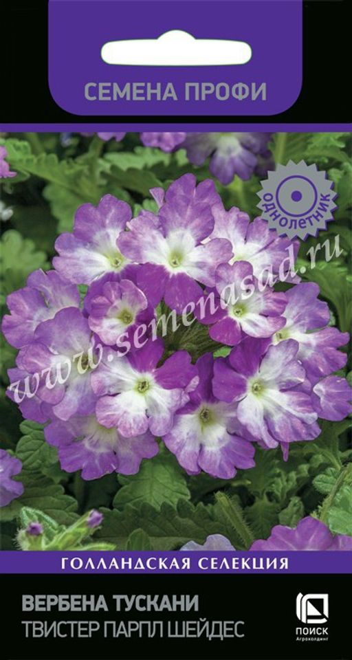 Вербена Тускани Твистер Парпл Шейдес (Семена Профи) (ЦВ) ("1) 10 шт