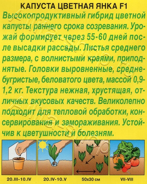 Капуста цветная Янка F1 10шт. (Аэлита)