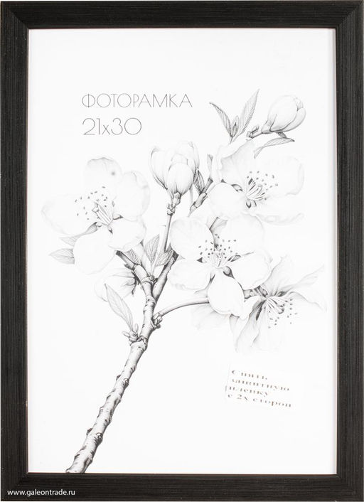 Фоторамка 21х30 с акриловым стеклом / 2004D-012C /уп10 ф - ГалеонТрейд фото 3