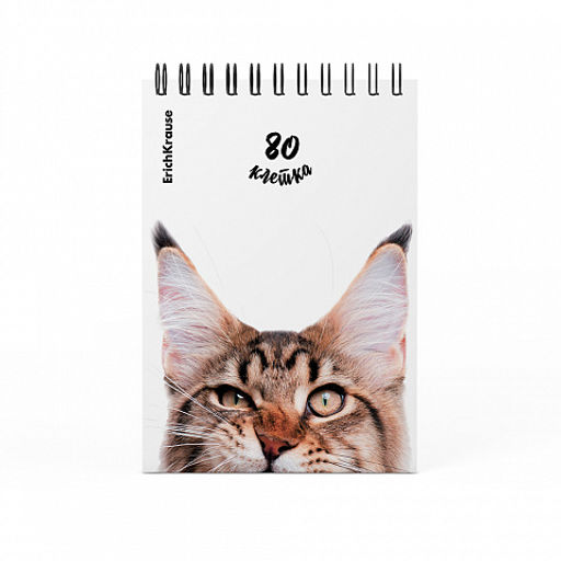 Цена за 4 шт. Блокнот на спирали ErichKrause Котики, А6, 80 листов, клетка_MIX-PACK  фото 6