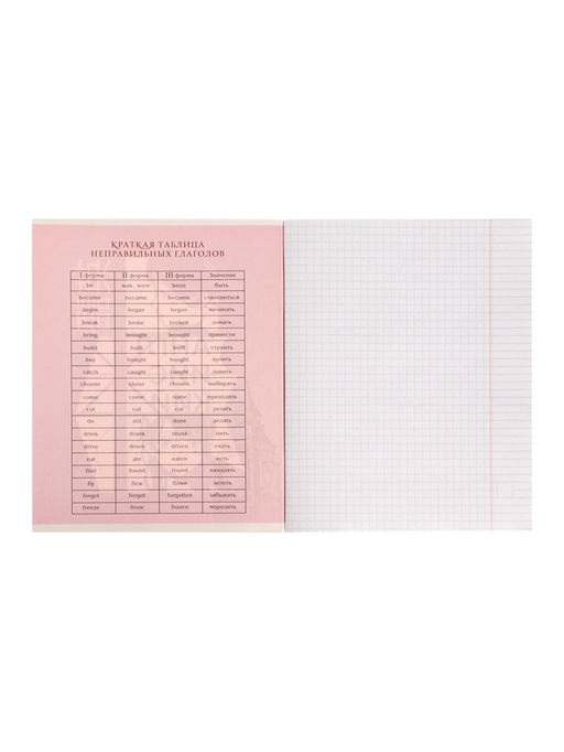 Тетрадь предметная Комикс Аниме 48 листов в клетку Английский язык, со справочным материалом, обложка мелованный картон, УФ-лак (полный), блок офсет - Calligrata фото 10