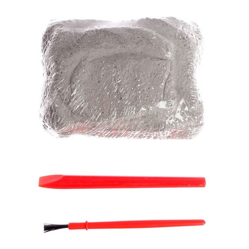 Раскопки «Сокровища океана»