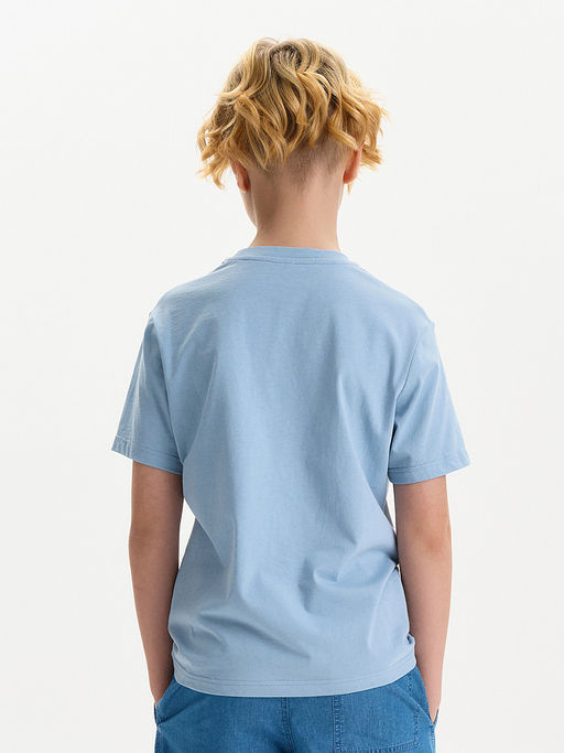 PELICAN, футболка для мальчиков, Лед  фото 3