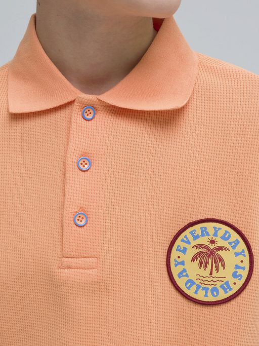 Pelican BFTP4321/1 футболка для мальчиков  фото 3