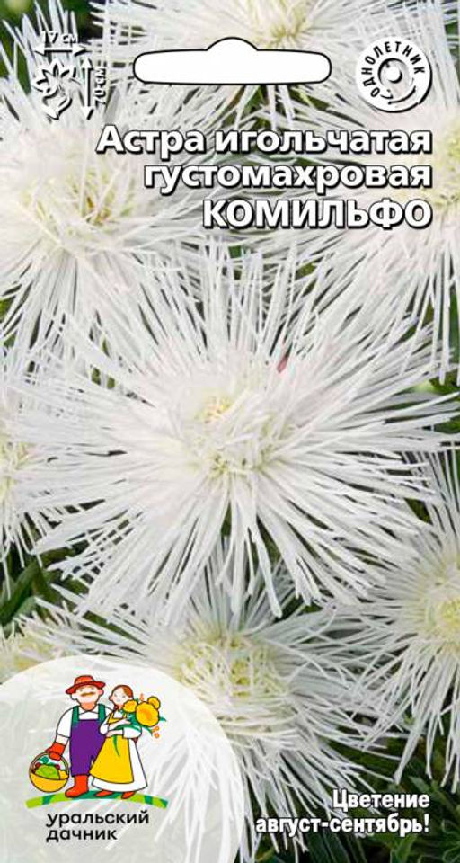 Астра КОМИЛЬФО Игольчатый тип