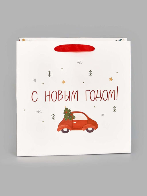 Цена за 2 шт. Пакет подарочный ламинированный новогодний Волшебного года, 22 ? 22 ? 11 см