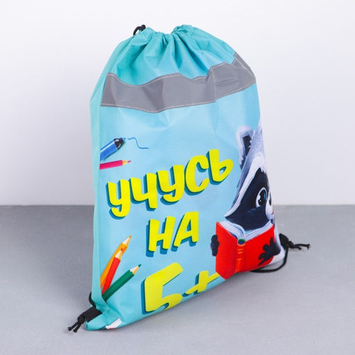 Сумка для обуви со светоотражающим элементом Учусь на 5!, размер 43х34 см - Artfox study фото 2